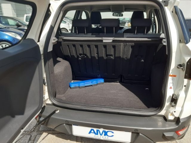 FORD EcoSport usata, con Bracciolo