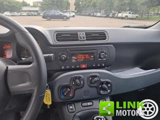 FIAT Panda usata 14