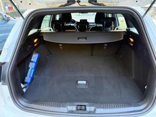 FORD Focus usata, con Fendinebbia