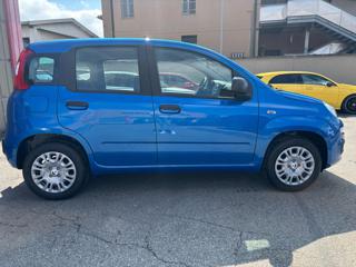 FIAT Panda usata, con Alzacristalli elettrici