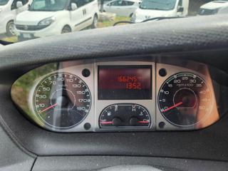 IVECO Daily usata, con Cruise Control