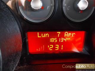 FIAT Punto Evo usata, con Airbag testa