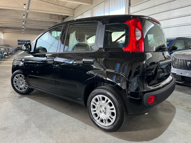FIAT Panda usata, con Alzacristalli elettrici