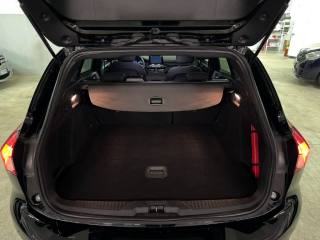 FORD Focus usata, con Park Distance Control