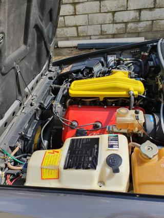 ALFA ROMEO GTV usata 12