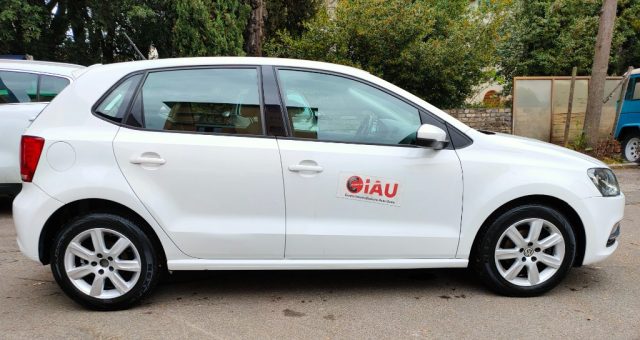 VOLKSWAGEN Polo usata, con Cerchi in lega