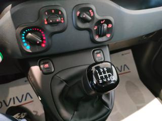 FIAT Panda usata 13
