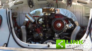 VOLKSWAGEN Maggiolino usata 19