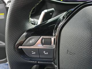 PEUGEOT 2008 usata, con Climatizzatore