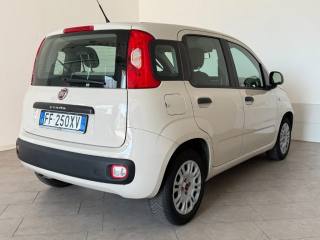 FIAT Panda usata 3