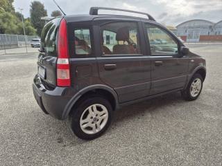 FIAT Panda usata 5