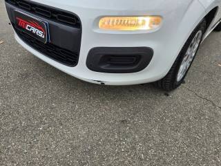 FIAT Panda usata, con Controllo trazione