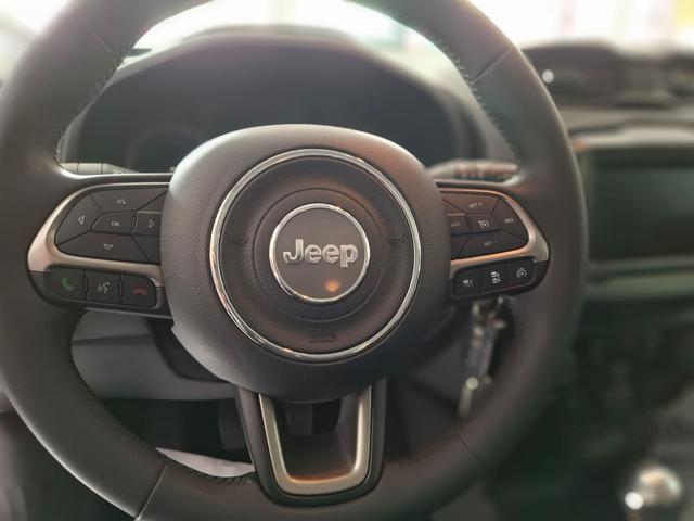 JEEP Renegade usata, con Cerchi in lega