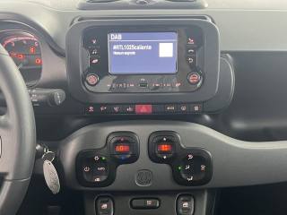 FIAT Panda usata 14
