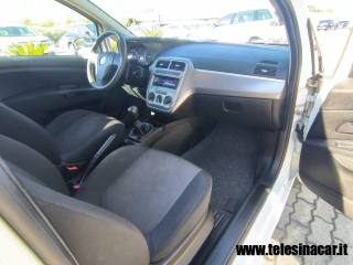 FIAT Punto usata 14