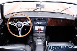 AUSTIN Healey usata 8