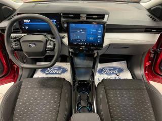 FORD Puma usata, con Vetri oscurati