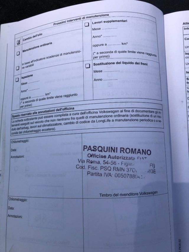 VOLKSWAGEN Polo usata 20