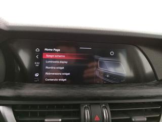 ALFA ROMEO Stelvio usata, con Cronologia tagliandi