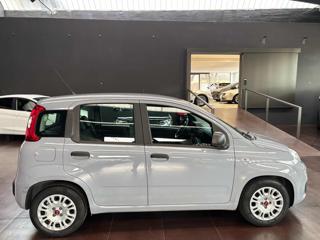 FIAT Panda usata, con Airbag
