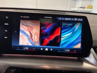 BMW X2 usata, con Filtro antiparticolato