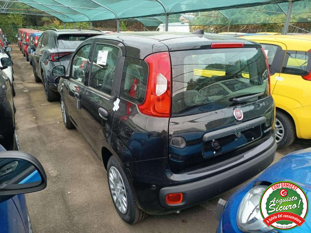FIAT Panda usata, con Airbag Passeggero