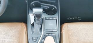 LEXUS UX 250h usata, con Fendinebbia