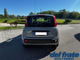 FIAT Panda usata, con Antifurto
