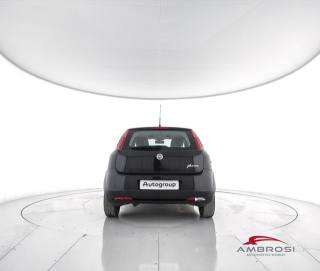 FIAT Punto usata 5