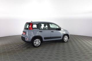 FIAT Panda usata 2