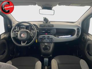 FIAT Panda usata, con Controllo trazione