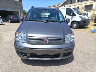 FIAT Panda usata 2