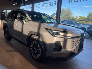TOYOTA RAV 4 usata, con Antifurto
