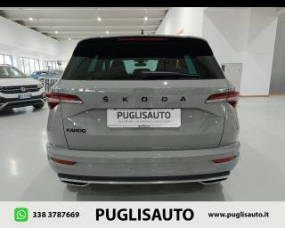 SKODA Karoq usata, con Climatizzatore