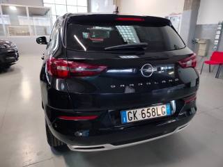 OPEL Grandland usata, con Bracciolo