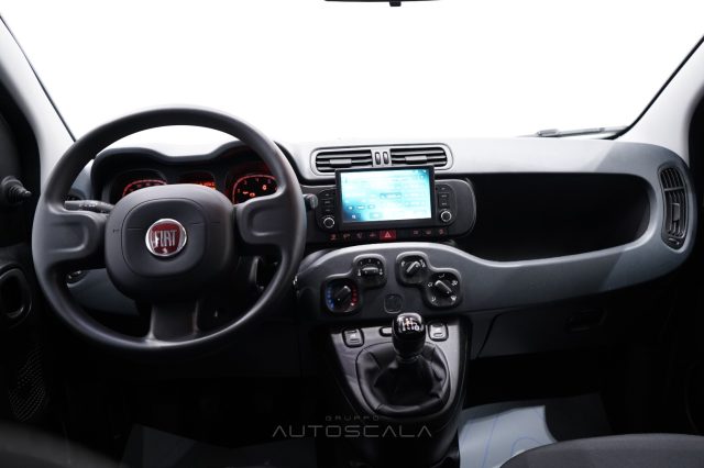 FIAT New Panda usata 22
