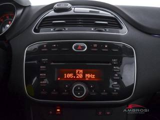 FIAT Punto usata 13