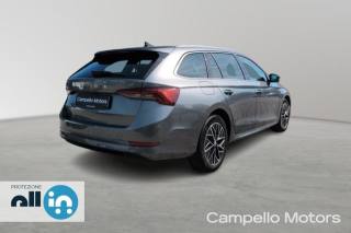SKODA Octavia usata 2