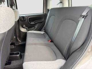 FIAT Panda usata 10
