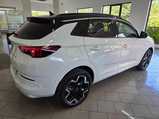 OPEL Grandland usata, con Cronologia tagliandi