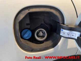 FIAT 500X usata, con Vivavoce