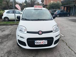FIAT Panda usata, con Cronologia tagliandi