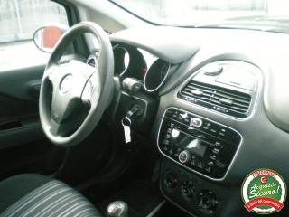 FIAT Punto usata 10