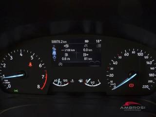 FORD Fiesta usata 12