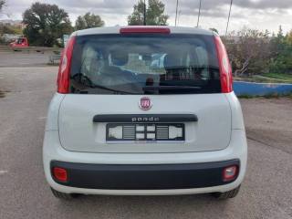 FIAT Panda usata 7