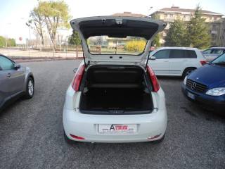 FIAT Punto usata 39