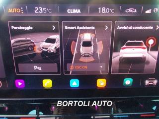 CUPRA Formentor usata, con Volante multifunzione