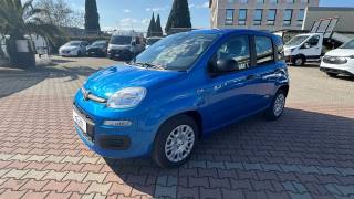FIAT Pandina usata, con Airbag Passeggero