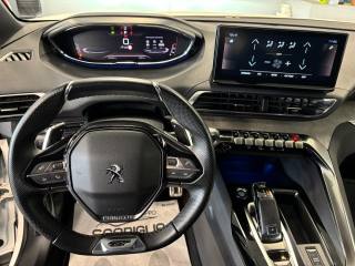 PEUGEOT 3008 usata, con Climatizzatore