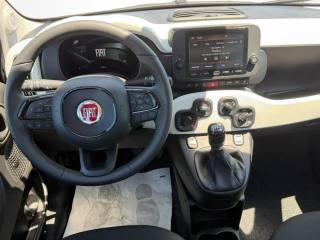 FIAT Panda usata, con ESP